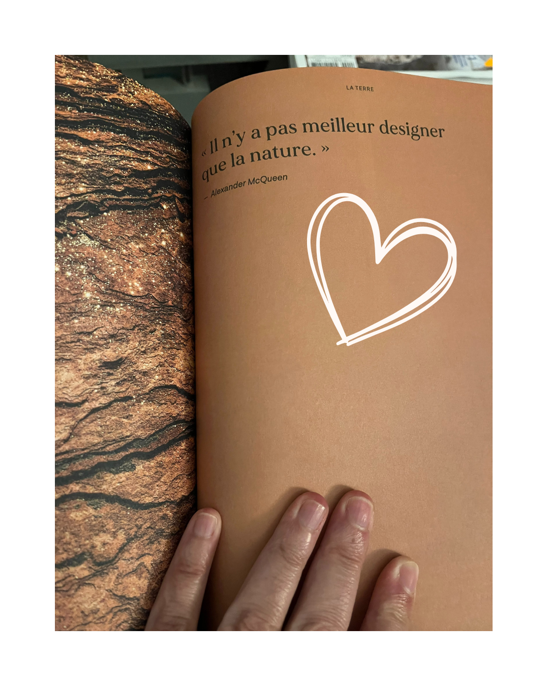 "Il n'y a pas meilleur designer que la nature" Alexander McQueen